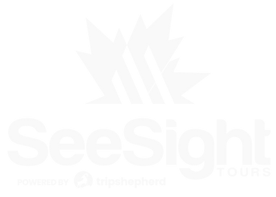 Premium San antonio Tours logo transparent