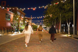 Scenic San Antonio Night Tour with Riverwalk Boat Cruise